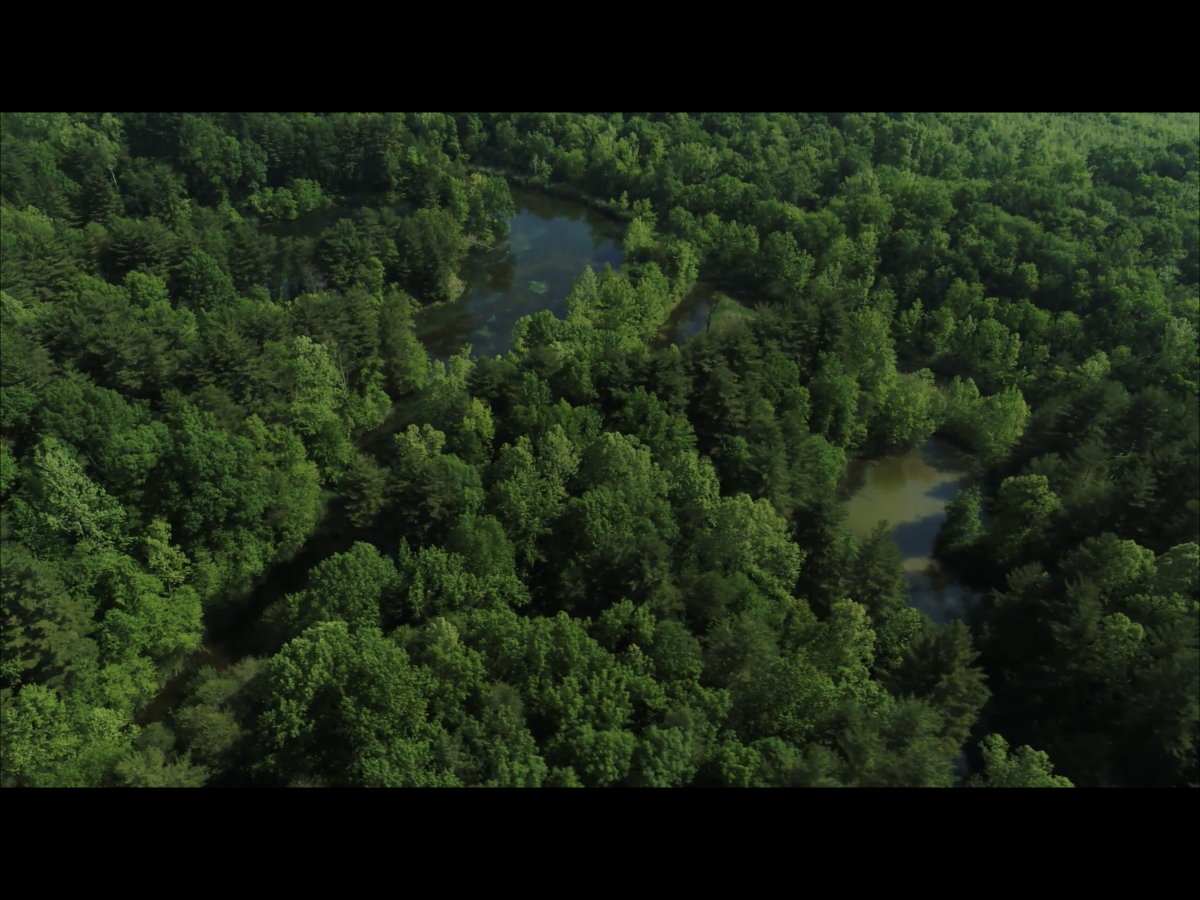 EXCELLENT HUNTING PROPERTIES Peabody Land